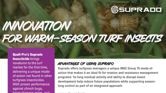 QP-Detailer-Suprado-WarmSeasonTurfInsects