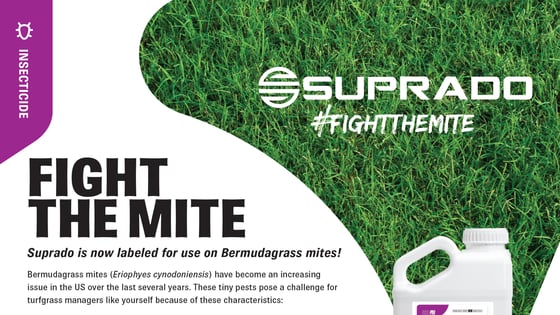 QP-Thumbnails-Detailer-Suprado-BermudaMites-1920x1080-1