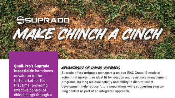 QP-Thumbnails-Detailer_Suprado-Chinch-1920x1080