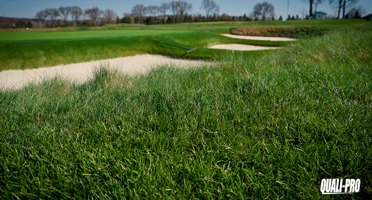 QP-Oakmont-LandingPage-Roughs