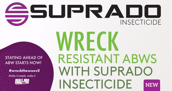 Wreck-ABWs_suprado