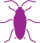 pest-icon-cockroach